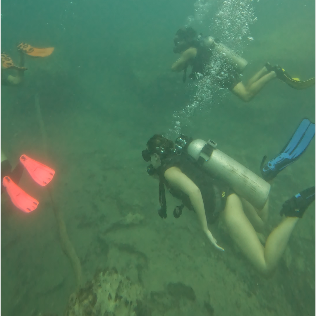 Underwater in Barracuda Lake